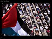 ملف:47104 imgcache.jpg