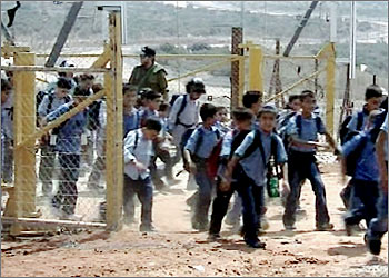 معاناة فلسطين4.jpg