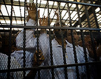 داخل السجن.jpg