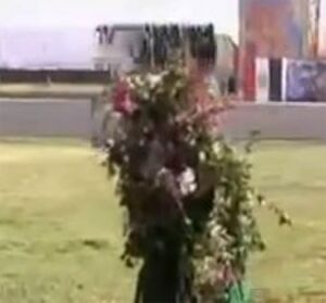 الشرطي الشجرة.jpg